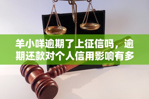 羊小咩逾期了上征信吗，逾期还款对个人信用影响有多大