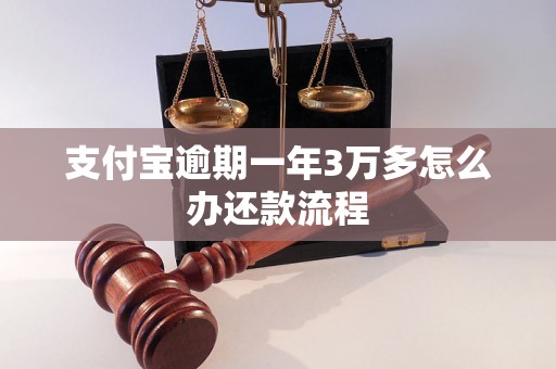 支付宝逾期一年3万多怎么办还款流程