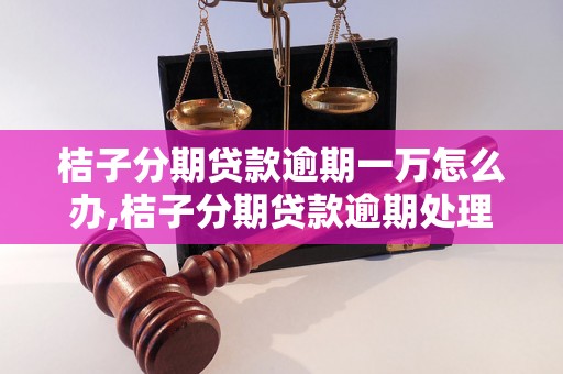 桔子分期贷款逾期一万怎么办,桔子分期贷款逾期处理措施