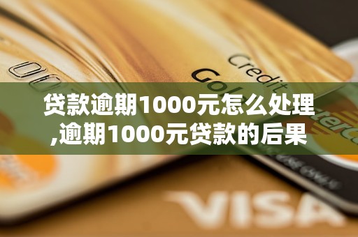 贷款逾期1000元怎么处理,逾期1000元贷款的后果