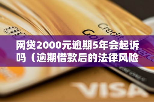 网贷2000元逾期5年会起诉吗（逾期借款后的法律风险解析）