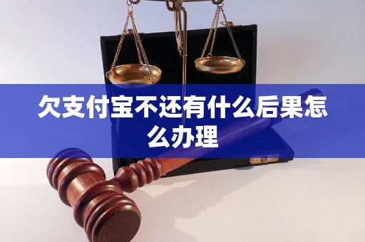 欠支付宝不还有什么后果怎么办理