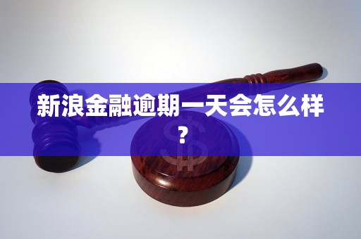 新浪金融逾期一天会怎么样？