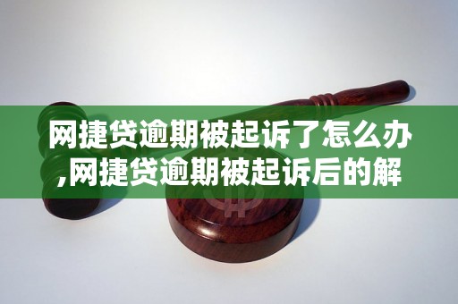 网捷贷逾期被起诉了怎么办,网捷贷逾期被起诉后的解决方法