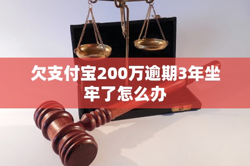 欠支付宝200万逾期3年坐牢了怎么办