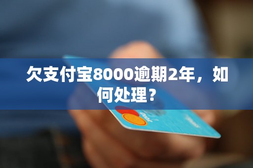 欠支付宝8000逾期2年，如何处理？