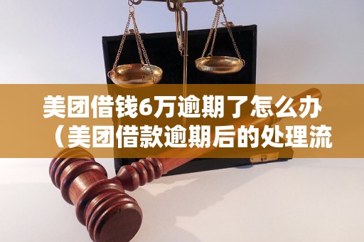 美团借钱6万逾期了怎么办（美团借款逾期后的处理流程）