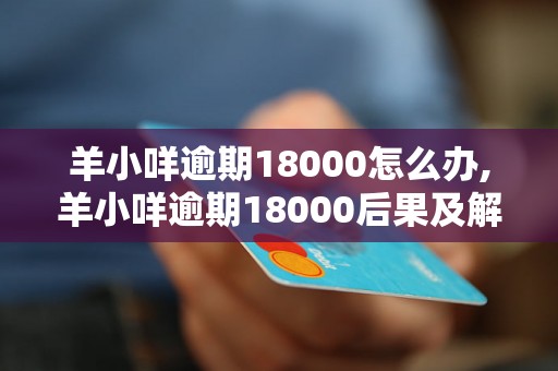 羊小咩逾期18000怎么办,羊小咩逾期18000后果及解决方法