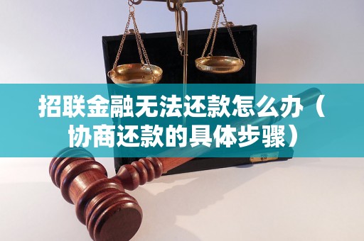 招联金融无法还款怎么办（协商还款的具体步骤）