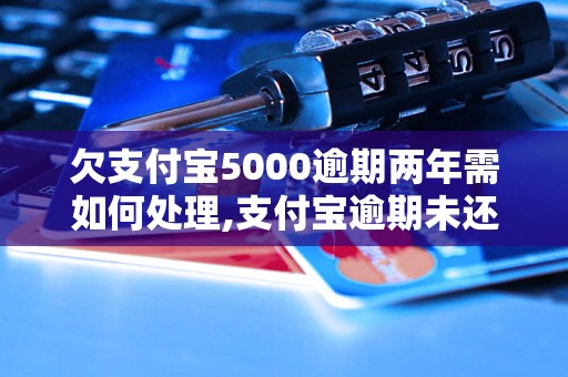 欠支付宝5000逾期两年需如何处理,支付宝逾期未还5000元怎么办