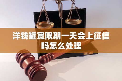 洋钱罐宽限期一天会上征信吗怎么处理