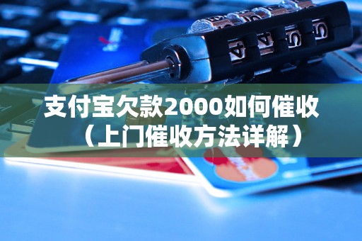 支付宝欠款2000如何催收（上门催收方法详解）