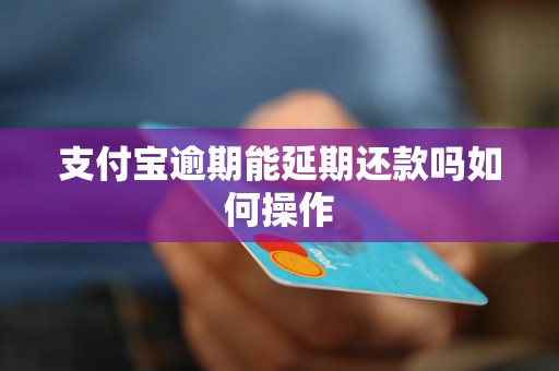 支付宝逾期能延期还款吗如何操作