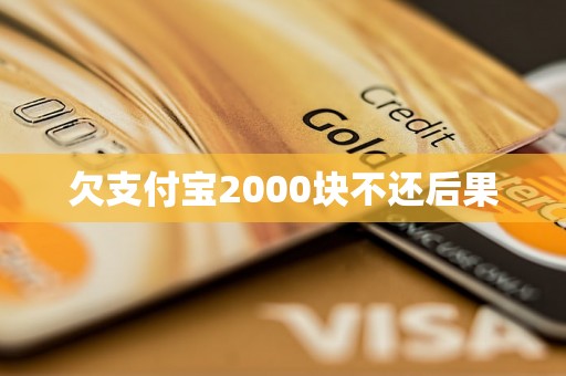 欠支付宝2000块不还后果