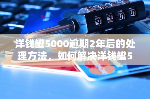 洋钱罐5000逾期2年后的处理方法，如何解决洋钱罐5000逾期问题