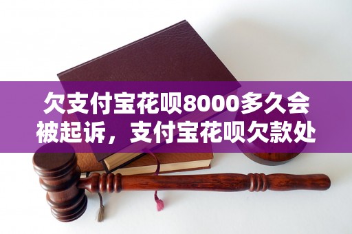 欠支付宝花呗8000多久会被起诉，支付宝花呗欠款处理方式