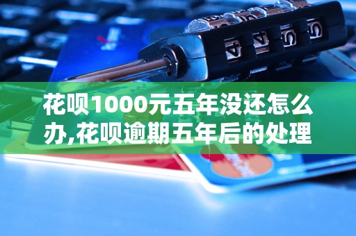 花呗1000元五年没还怎么办,花呗逾期五年后的处理方法