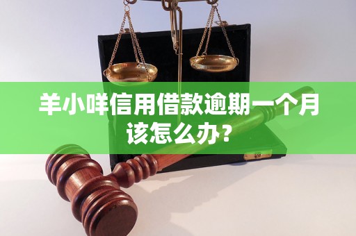 羊小咩信用借款逾期一个月该怎么办？