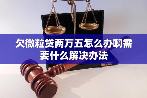 欠微粒贷两万五怎么办啊需要什么解决办法