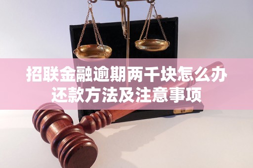 招联金融逾期两千块怎么办还款方法及注意事项