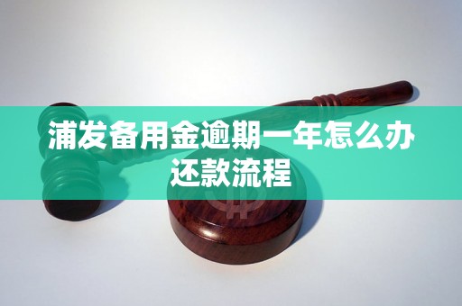 浦发备用金逾期一年怎么办还款流程