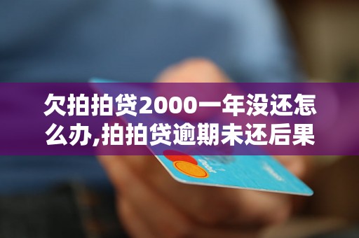 欠拍拍贷2000一年没还怎么办,拍拍贷逾期未还后果