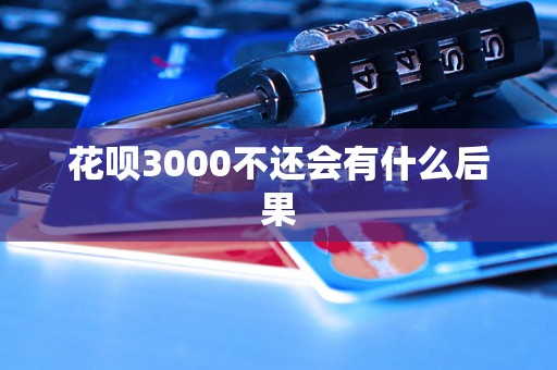 花呗3000不还会有什么后果