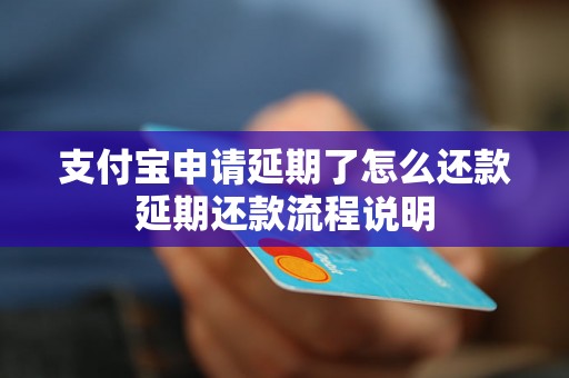 支付宝申请延期了怎么还款延期还款流程说明