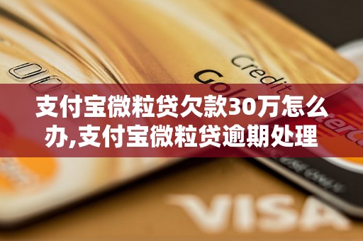 支付宝微粒贷欠款30万怎么办,支付宝微粒贷逾期处理方法