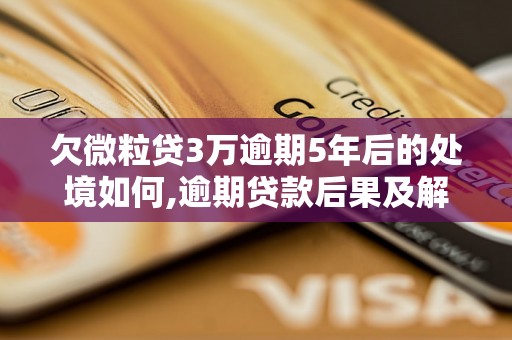 欠微粒贷3万逾期5年后的处境如何,逾期贷款后果及解决方法