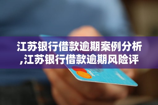 江苏银行借款逾期案例分析,江苏银行借款逾期风险评估