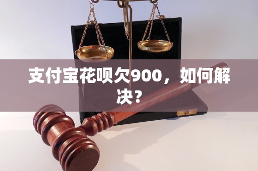 支付宝花呗欠900，如何解决？