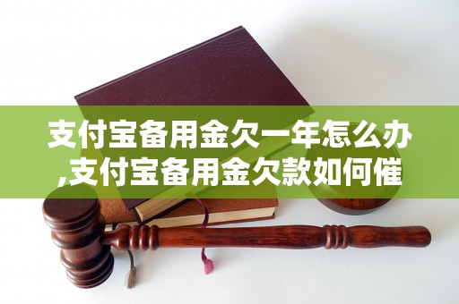 支付宝备用金欠一年怎么办,支付宝备用金欠款如何催收