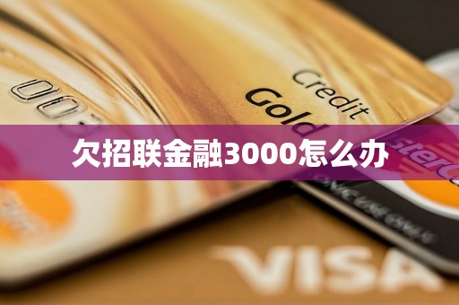 欠招联金融3000怎么办