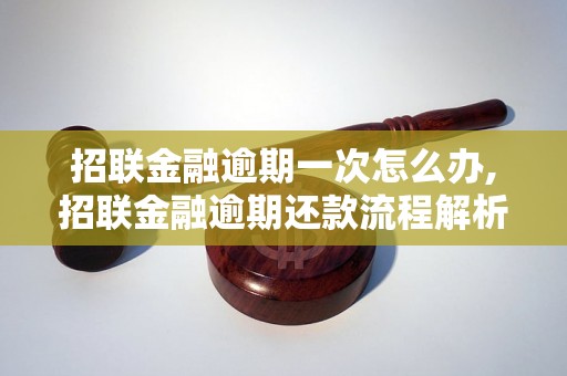 招联金融逾期一次怎么办,招联金融逾期还款流程解析