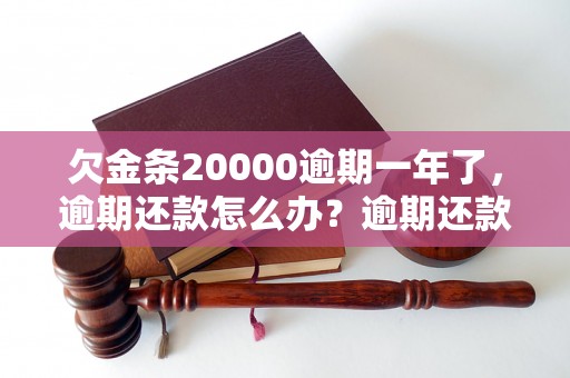 欠金条20000逾期一年了，逾期还款怎么办？逾期还款会有什么后果？