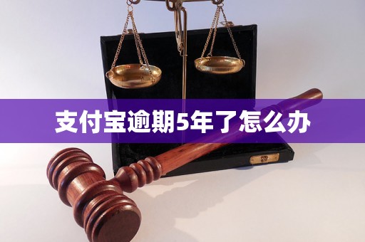 支付宝逾期5年了怎么办