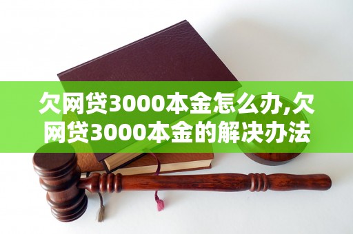 欠网贷3000本金怎么办,欠网贷3000本金的解决办法