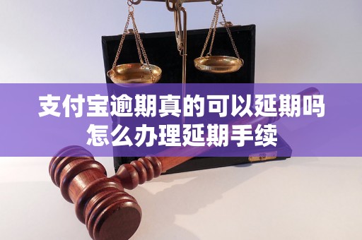 支付宝逾期真的可以延期吗怎么办理延期手续