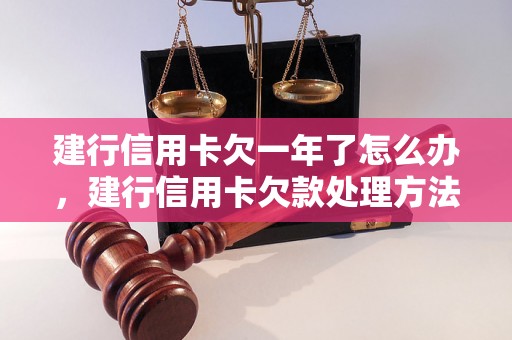 建行信用卡欠一年了怎么办，建行信用卡欠款处理方法