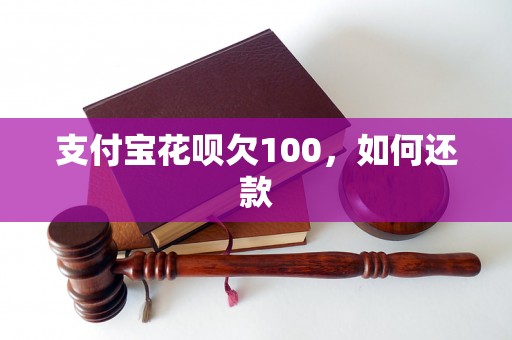 支付宝花呗欠100，如何还款