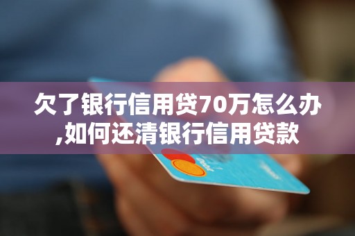 欠了银行信用贷70万怎么办,如何还清银行信用贷款