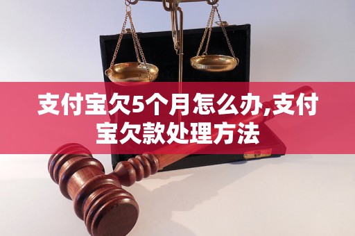 支付宝欠5个月怎么办,支付宝欠款处理方法