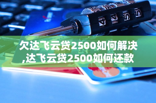 欠达飞云贷2500如何解决,达飞云贷2500如何还款