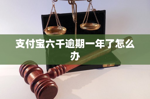 支付宝六千逾期一年了怎么办