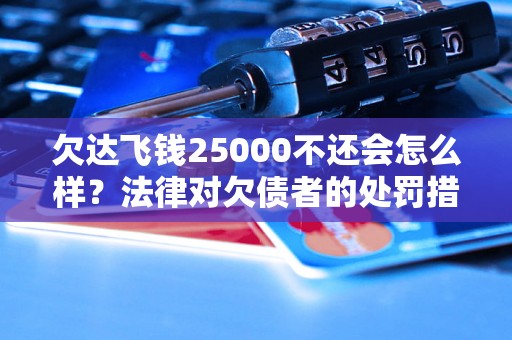 欠达飞钱25000不还会怎么样？法律对欠债者的处罚措施