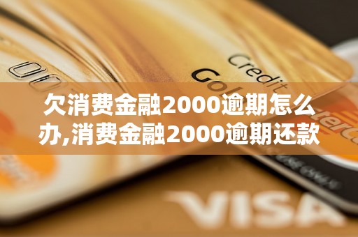 欠消费金融2000逾期怎么办,消费金融2000逾期还款方法