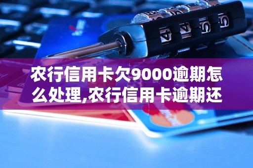 农行信用卡欠9000逾期怎么处理,农行信用卡逾期还款方法