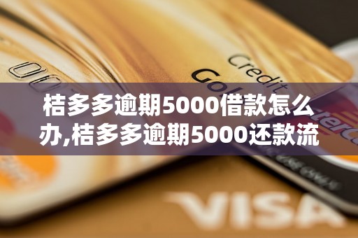 桔多多逾期5000借款怎么办,桔多多逾期5000还款流程