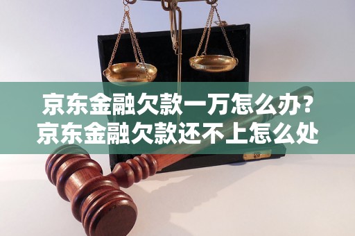 京东金融欠款一万怎么办？京东金融欠款还不上怎么处理？